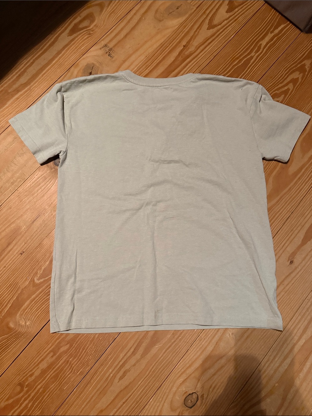 Carhartt Short-Sleeve Henley Pocket Tee in Sage Green - Picture 3 of 3
